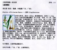 中國有關(guān)藥書對高良姜植物種屬的記載