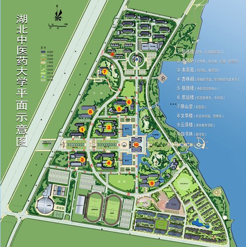湖北中醫(yī)藥大學(xué)平面圖