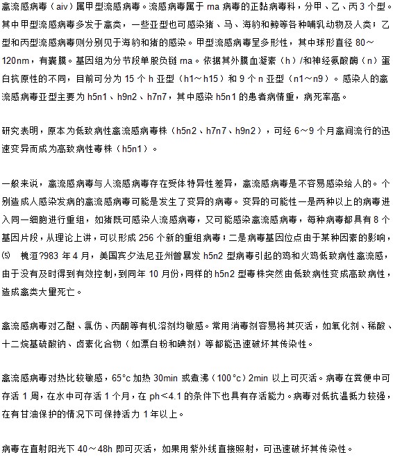 經(jīng)常聽(tīng)到禽流感 你知道禽流感病毒究竟是什么嗎？