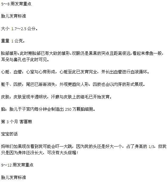 寶寶在媽媽肚子里是怎樣發(fā)育的、