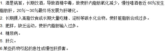產(chǎn)生脂肪肝的六大原因有哪些？