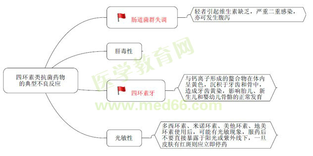 《藥學(xué)專業(yè)知識（二）》“那點(diǎn)小事兒”