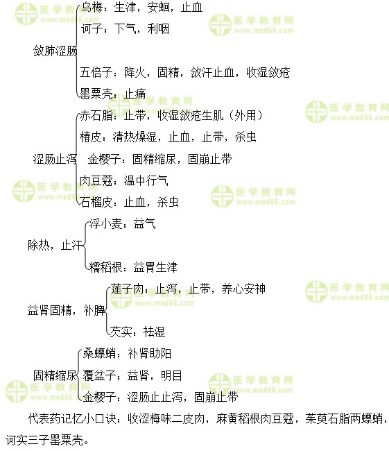 執(zhí)業(yè)藥師知識點(diǎn)