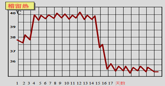 稽留熱