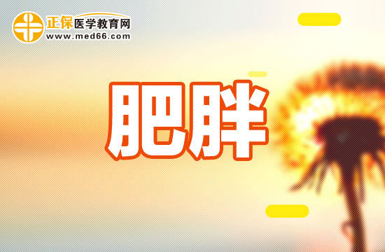 肥胖患者怎么吃？