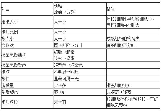 血細(xì)胞發(fā)育過(guò)程的一般規(guī)律