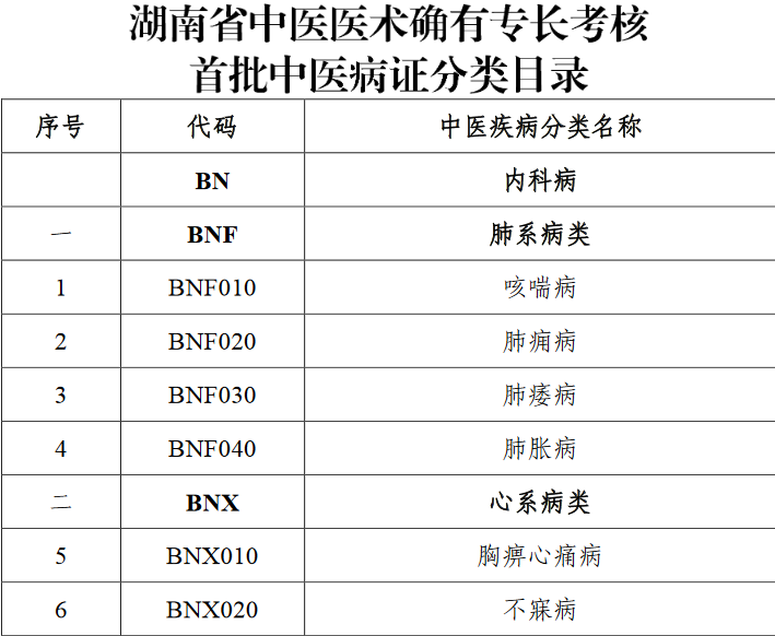 湖南省中醫(yī)醫(yī)術(shù)確有專(zhuān)長(zhǎng)考核首批中醫(yī)病證分類(lèi)及中醫(yī)醫(yī)療技術(shù)目錄