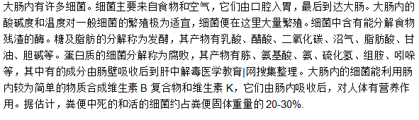大腸內(nèi)細(xì)菌活動的規(guī)律