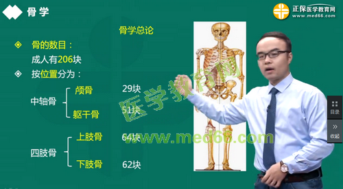 臨床執(zhí)業(yè)醫(yī)師解剖學課程