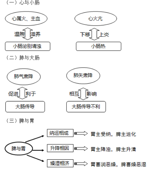 六腑與五臟之間的關(guān)系