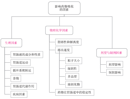 藥物的胃腸道吸收--執(zhí)業(yè)藥師考試輔導(dǎo)精華