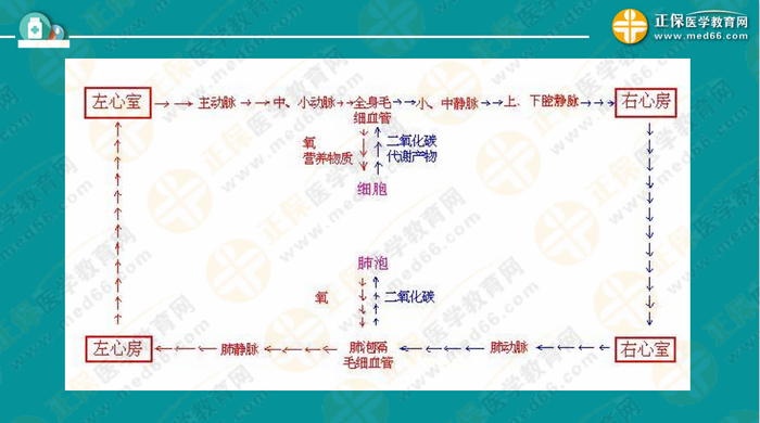 醫(yī)療衛(wèi)生考試筆試備考指導(dǎo)來了，共計2863頁書！怎么學(xué)？