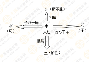 專業(yè)師資帶你學(xué)（五）：執(zhí)業(yè)藥師《中藥綜》五行學(xué)說！學(xué)習(xí)要有方法！