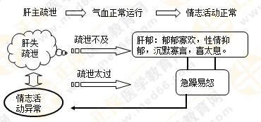 《中藥學綜合知識與技能》的藏象