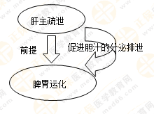 《中藥學綜合知識與技能》的藏象