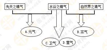 專業(yè)師資帶你學(xué)（八）：執(zhí)業(yè)藥師《中藥綜》生命活動的基本物質(zhì)！善用圖解！