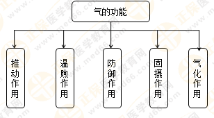 專業(yè)師資帶你學(xué)（八）：執(zhí)業(yè)藥師《中藥綜》生命活動的基本物質(zhì)！善用圖解！