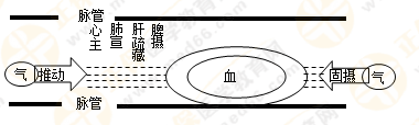 專業(yè)師資帶你學(xué)（八）：執(zhí)業(yè)藥師《中藥綜》生命活動的基本物質(zhì)！善用圖解！