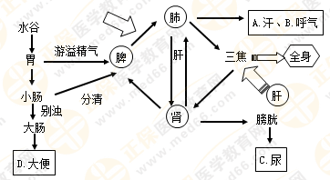 專業(yè)師資帶你學(xué)（八）：執(zhí)業(yè)藥師《中藥綜》生命活動的基本物質(zhì)！善用圖解！