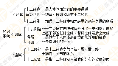 執(zhí)業(yè)藥師中藥綜經(jīng)絡與經(jīng)絡系統(tǒng)