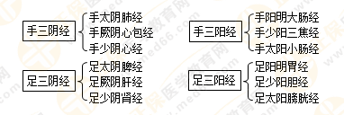 專業(yè)師資帶你學（九）：執(zhí)業(yè)藥師《中藥綜》經(jīng)絡與經(jīng)絡系統(tǒng)！5圖2表！