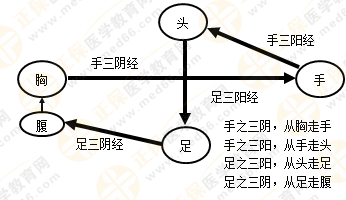 專業(yè)師資帶你學（九）：執(zhí)業(yè)藥師《中藥綜》經(jīng)絡與經(jīng)絡系統(tǒng)！5圖2表！