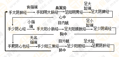 專業(yè)師資帶你學（九）：執(zhí)業(yè)藥師《中藥綜》經(jīng)絡與經(jīng)絡系統(tǒng)！5圖2表！