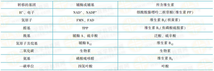 維生素與輔酶的關(guān)系