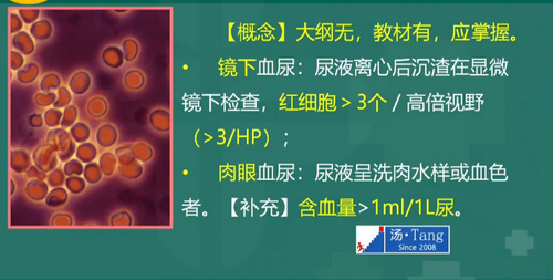 湯以恒2019臨床執(zhí)業(yè)醫(yī)師泌尿系統(tǒng)科目免費(fèi)視頻課更新！