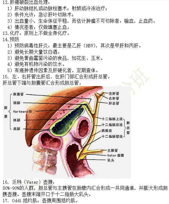 30個有關(guān)肝炎、膽囊炎相關(guān)考點匯總-臨床執(zhí)業(yè)醫(yī)師消化系統(tǒng)第九期！