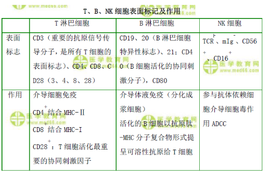 T、B、NK細(xì)胞表面標(biāo)記及作用