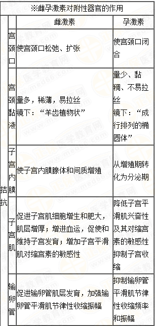 雌、孕激素的生理作用及附性器官的周期性變化