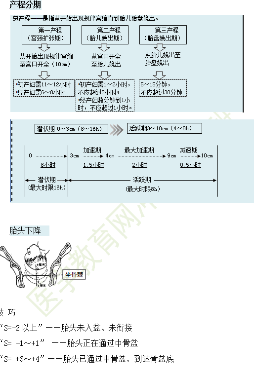 分娩的臨床經(jīng)過(guò)及處理