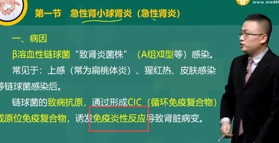 腎小球疾病最主要的發(fā)病機(jī)制是