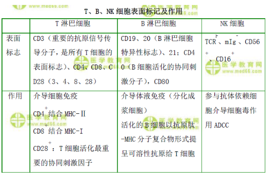 T、B、NK細(xì)胞表面標(biāo)記及作用