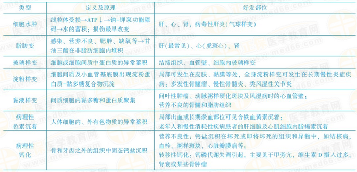 可逆性損傷的常考點(diǎn)