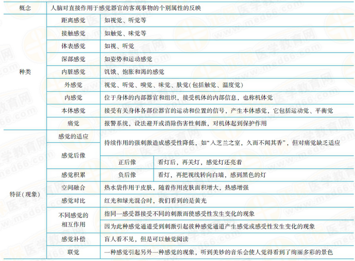感覺的相關考點總結