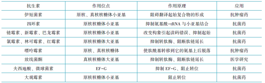 抗生素與蛋白質(zhì)生物合成