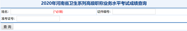 2020年河南省衛(wèi)生系列高級職稱業(yè)務水平考試成績查詢