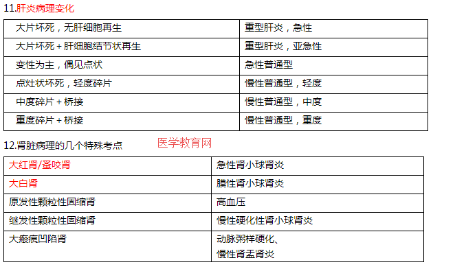 肝炎的病理變化