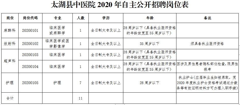 太湖縣中醫(yī)院（安徽?。?020自主公開(kāi)招聘醫(yī)療崗崗位計(jì)劃表