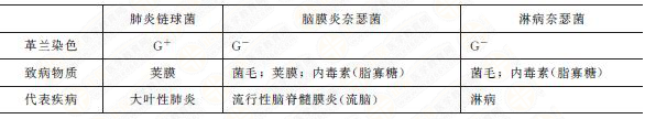 幾種常見致病球菌特點 