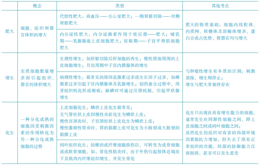 增生、化生和肥大的常見考點(diǎn)　