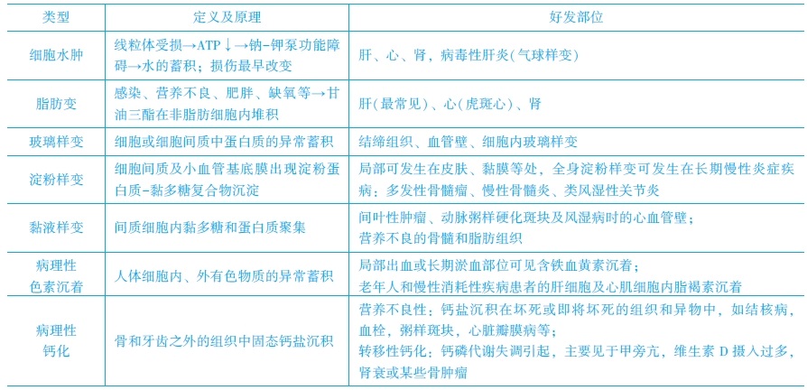 　可逆性損傷的?？键c(diǎn)