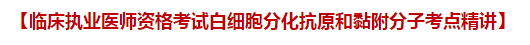 臨床執(zhí)業(yè)醫(yī)師資格考試白細(xì)胞分化抗原和黏附分子考點(diǎn)精講