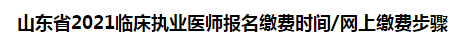 山東省2021臨床執(zhí)業(yè)醫(yī)師報名繳費(fèi)時間