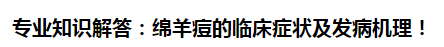 專業(yè)知識解答：綿羊痘的臨床癥狀及發(fā)病機(jī)理！