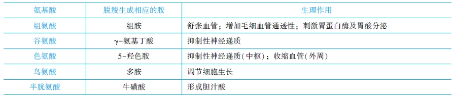 個別氨基酸的代謝