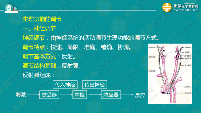 醫(yī)療衛(wèi)生考試筆試備考指導來了，共計2863頁書！怎么學？