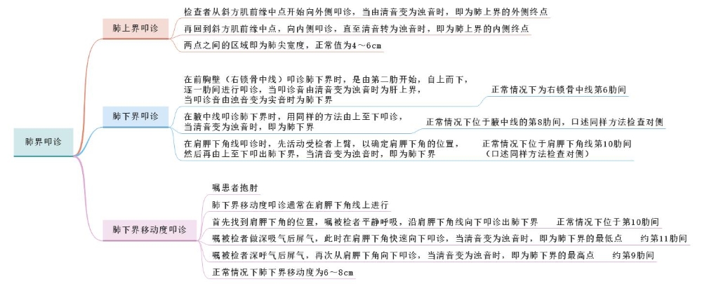 體格檢查——肺界叩診、肺下界移動度叩診